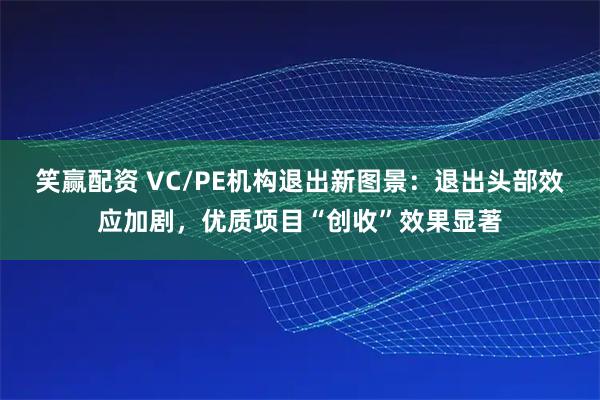 笑赢配资 VC/PE机构退出新图景：退出头部效应加剧，优质项目“创收”效果显著