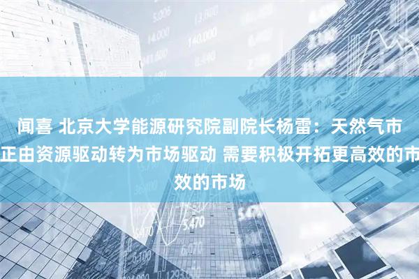 闻喜 北京大学能源研究院副院长杨雷：天然气市场正由资源驱动转为市场驱动 需要积极开拓更高效的市场