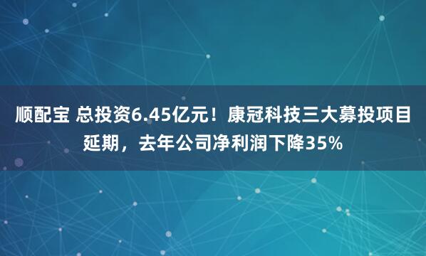 顺配宝 总投资6.45亿元！康冠科技三大募投项目延期，去年公司净利润下降35%