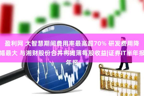 盈利网 大智慧期间费用率最高超70% 研发费用降幅最大 与湘财股份合并将摊薄每股收益|证券IT半年报