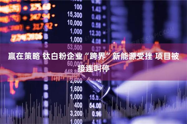 赢在策略 钛白粉企业“跨界”新能源受挫 项目被接连叫停
