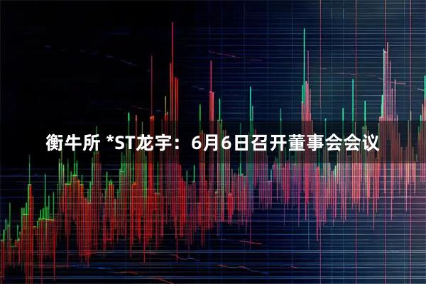 衡牛所 *ST龙宇：6月6日召开董事会会议