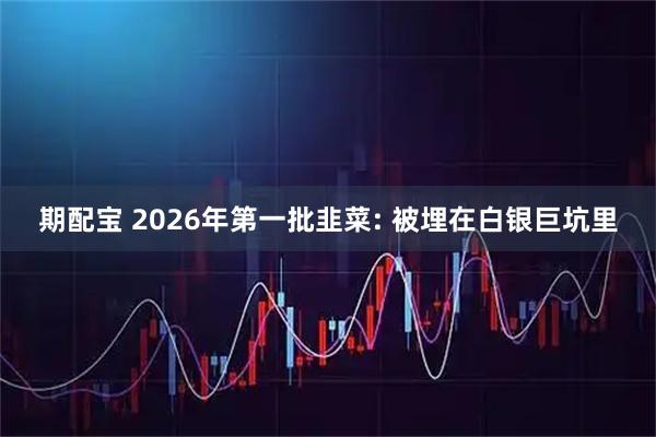 期配宝 2026年第一批韭菜: 被埋在白银巨坑里