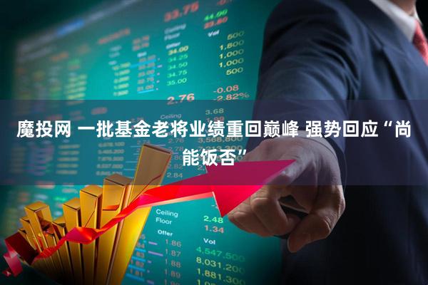 魔投网 一批基金老将业绩重回巅峰 强势回应“尚能饭否”