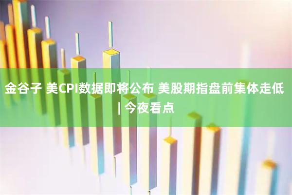 金谷子 美CPI数据即将公布 美股期指盘前集体走低 | 今夜看点
