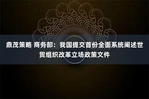 鼎茂策略 商务部：我国提交首份全面系统阐述世贸组织改革立场政策文件