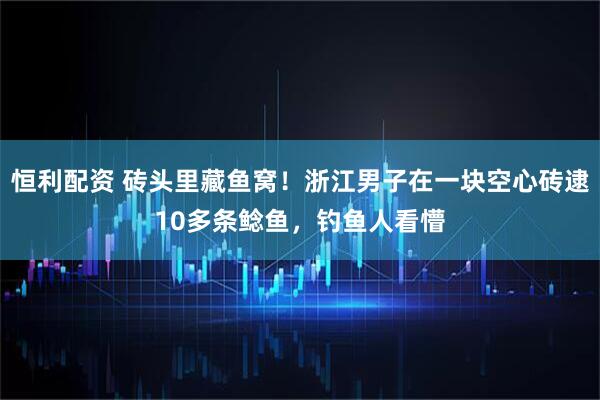 恒利配资 砖头里藏鱼窝！浙江男子在一块空心砖逮10多条鲶鱼，钓鱼人看懵