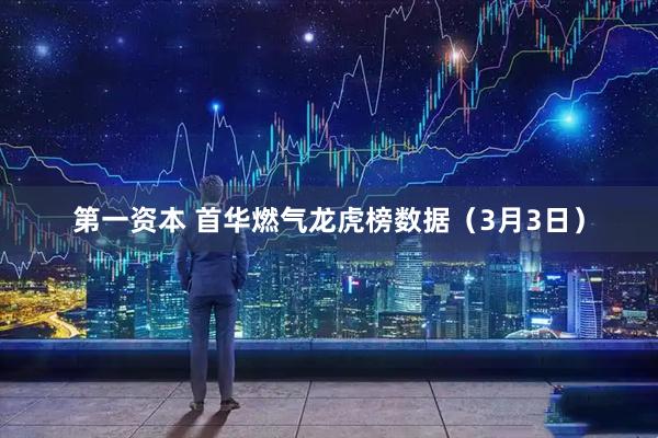 第一资本 首华燃气龙虎榜数据（3月3日）